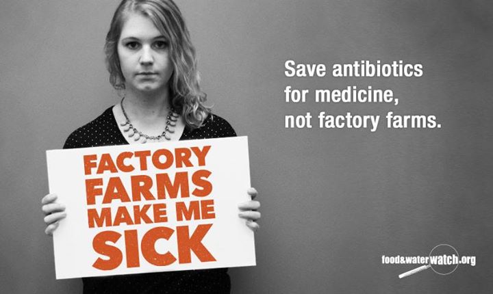 FFMMS: Save Antibiotics for Medicine 