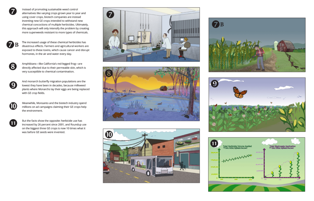 Superweeds Video Storyboard Final